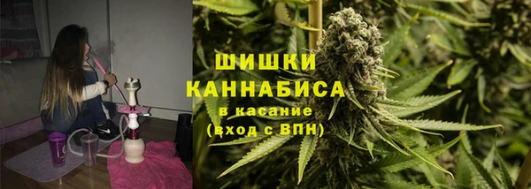 стаф Бородино
