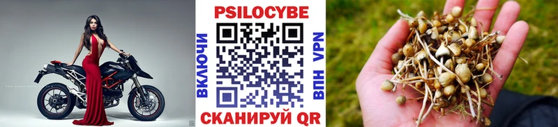 Галлюциногенные грибы MAGIC MUSHROOMS как найти наркотики Балашов